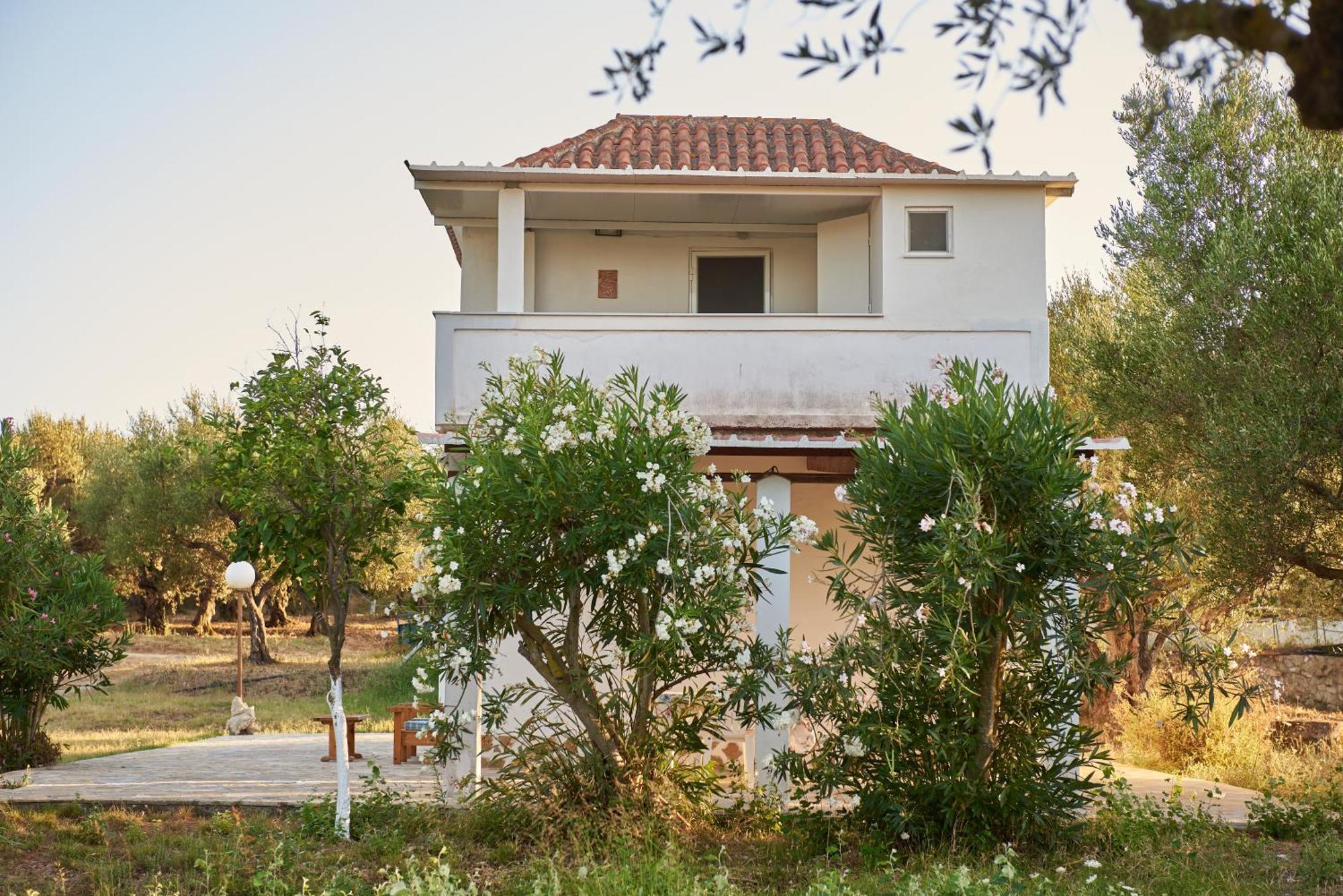 Villa Rania / Zante Drosia Kypseli Екстериор снимка