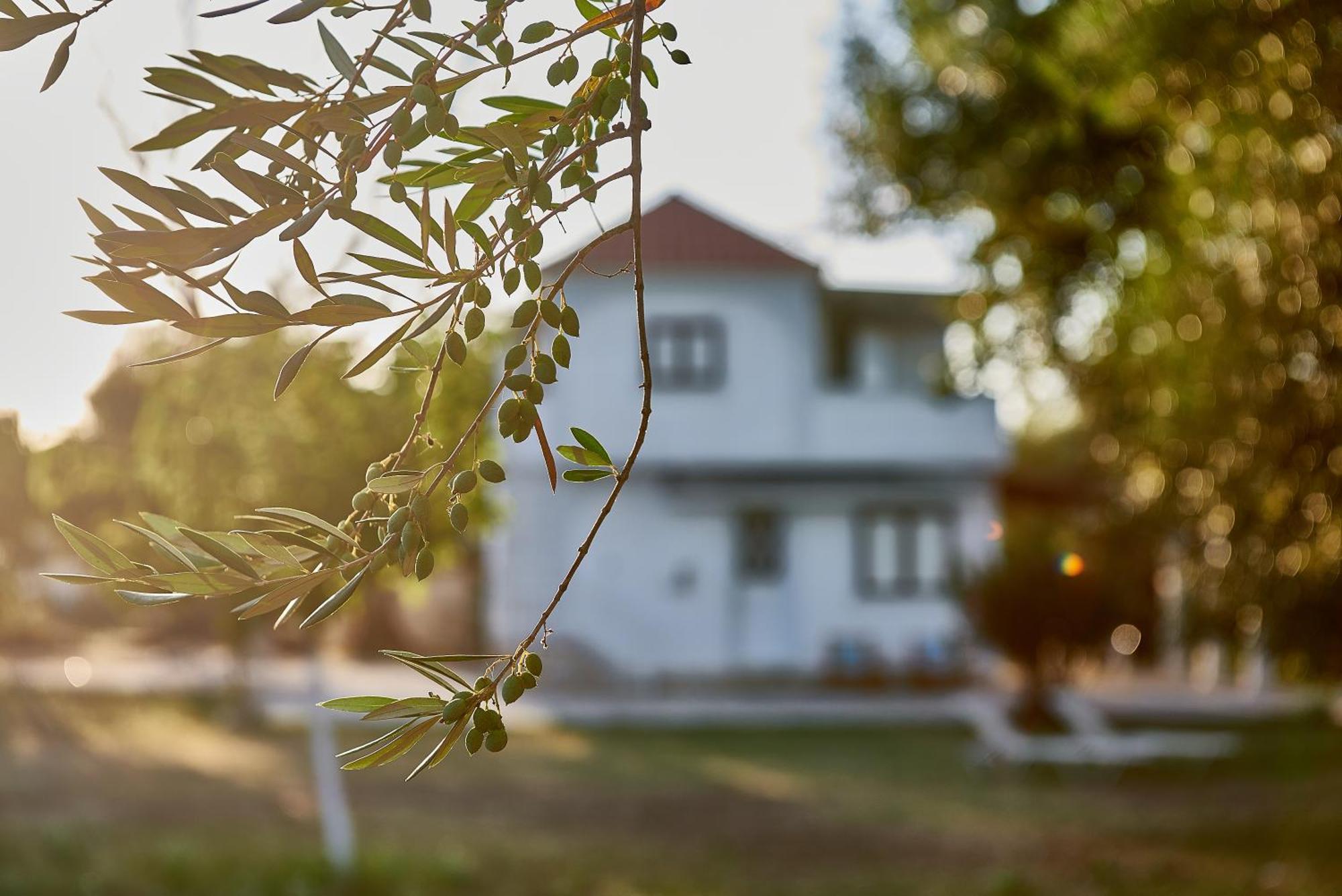 Villa Rania / Zante Drosia Kypseli Екстериор снимка