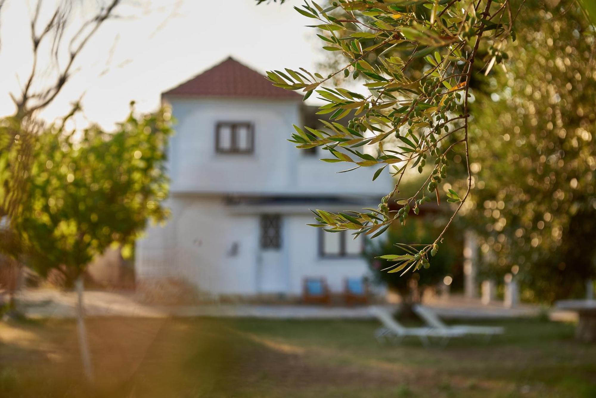 Villa Rania / Zante Drosia Kypseli Екстериор снимка