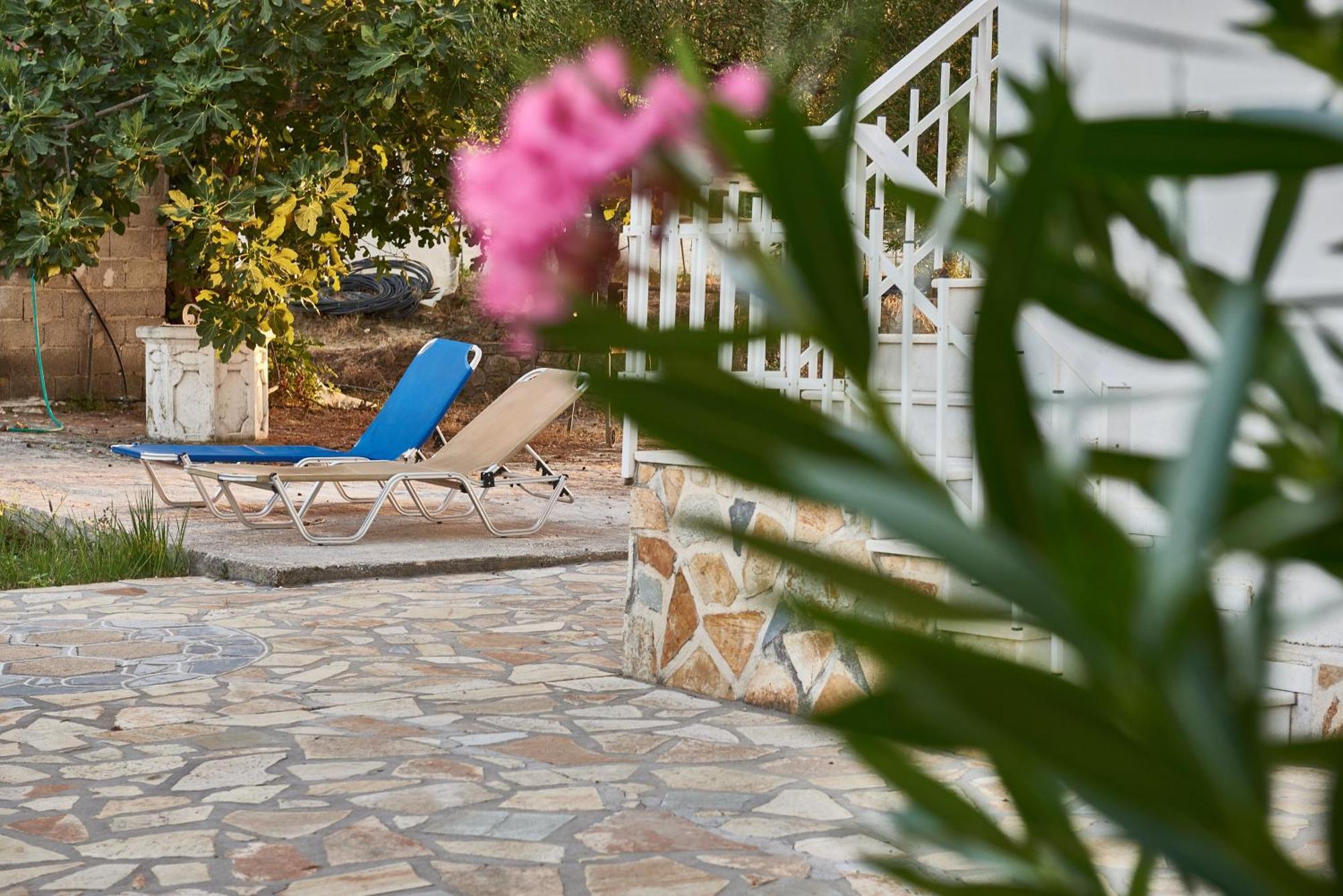 Villa Rania / Zante Drosia Kypseli Екстериор снимка